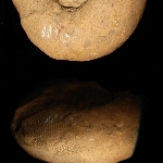 800149