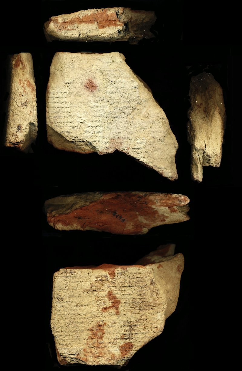 800481