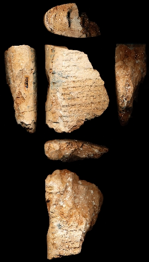 CBS11757