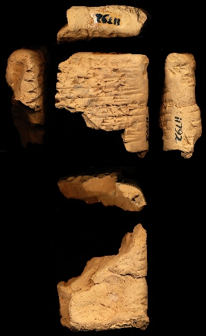 CBS11792