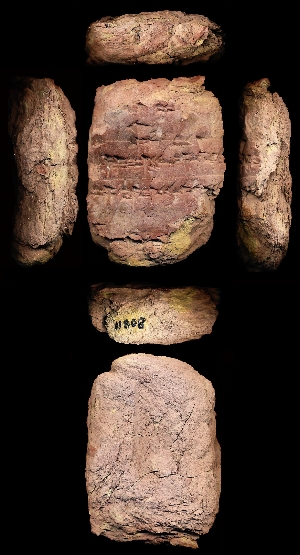 CBS11808