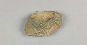 29-134-51