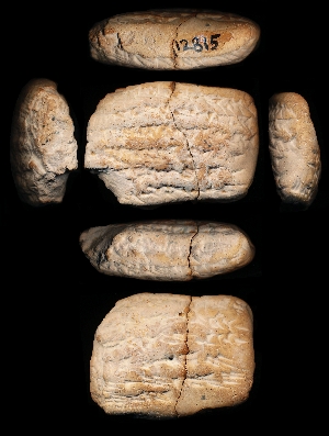 CBS12815