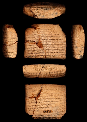CBS12844