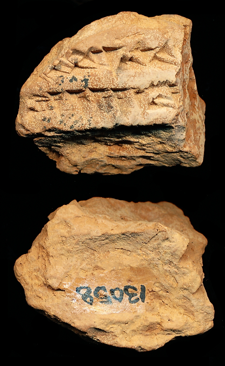 802961