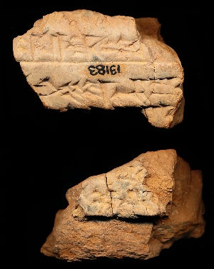 CBS13183
