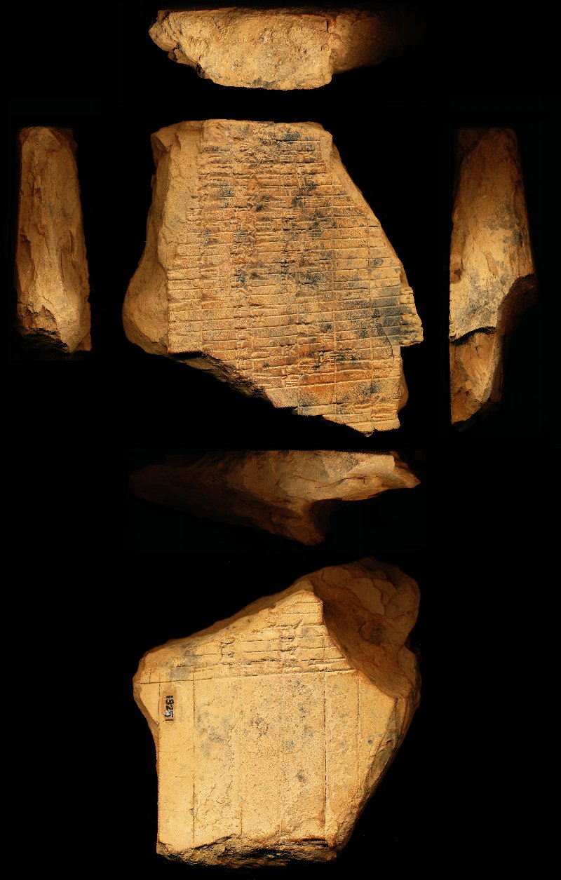 803041