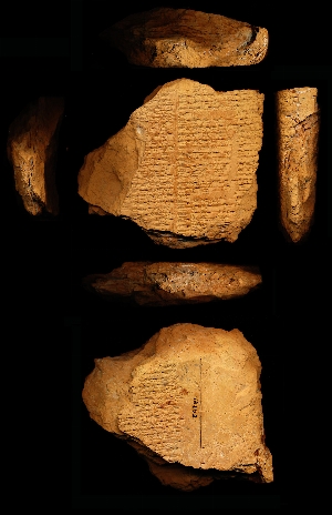 CBS13253