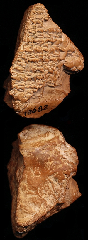 CBS13682
