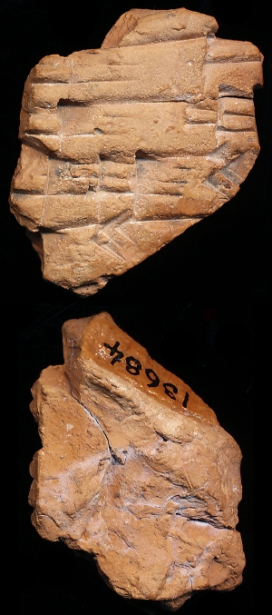 CBS13684