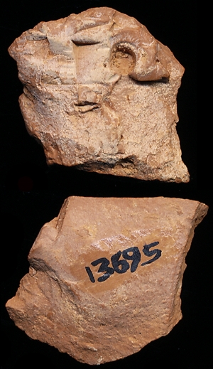CBS13695