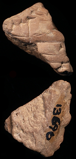 CBS13696