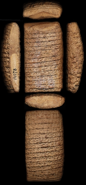 CBS14078