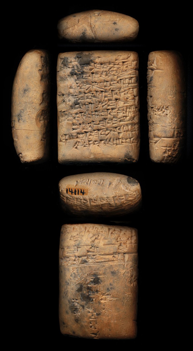 803559