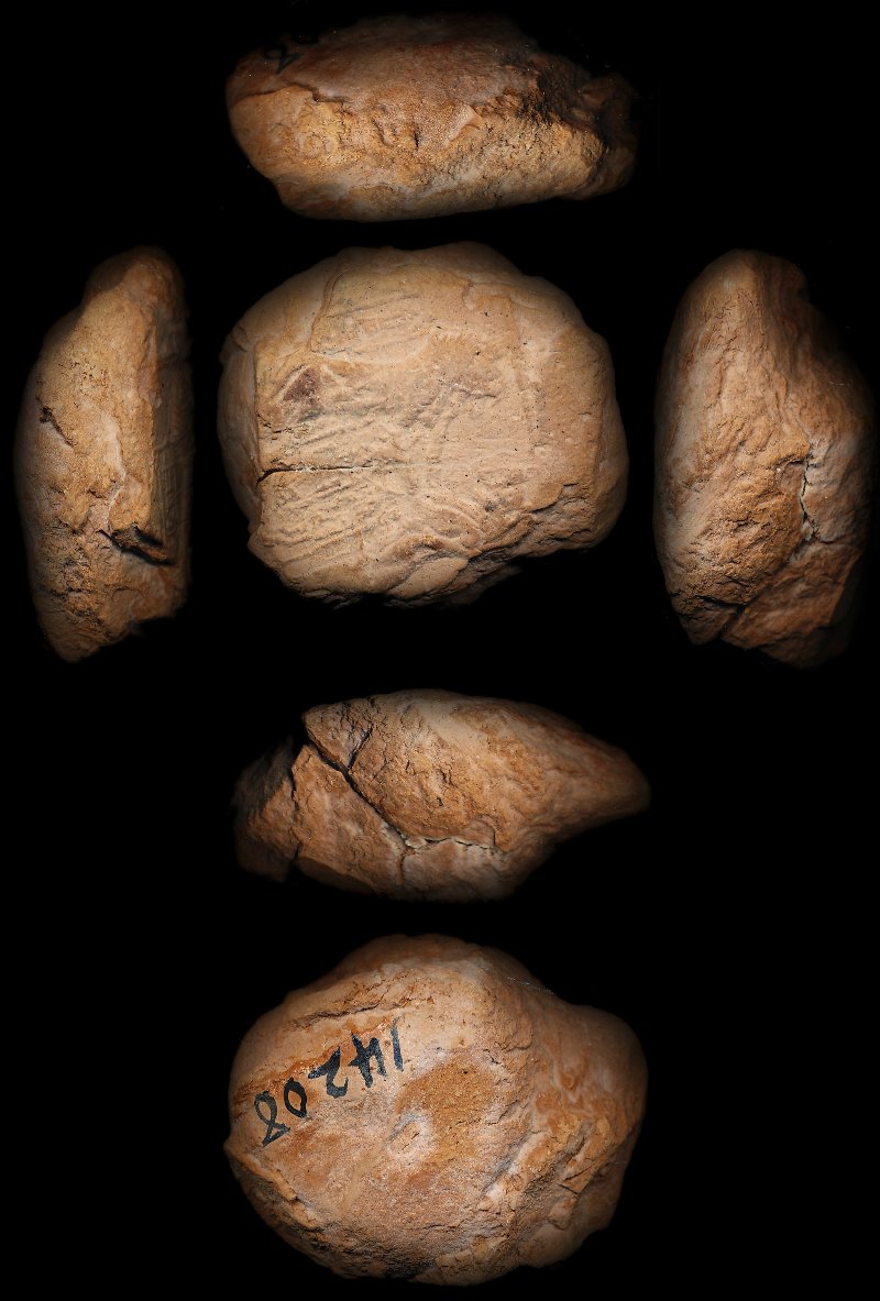 803619