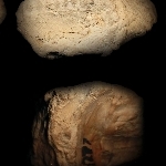 803684