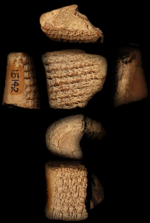 CBS15142