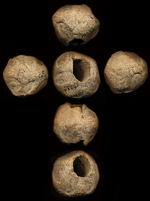 B15239