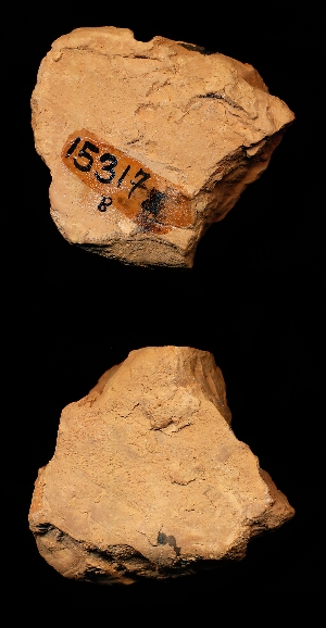 CBS15317B