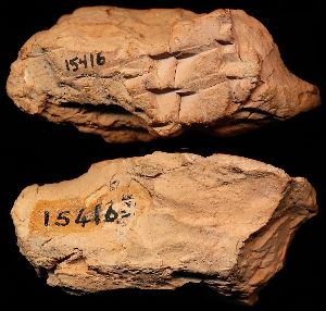 CBS15416