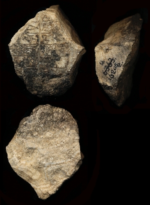 B16205