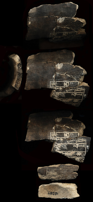 B16207