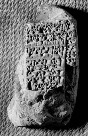 N3047