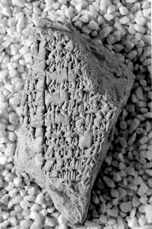 N3655
