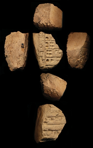 N5