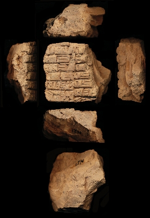 N21