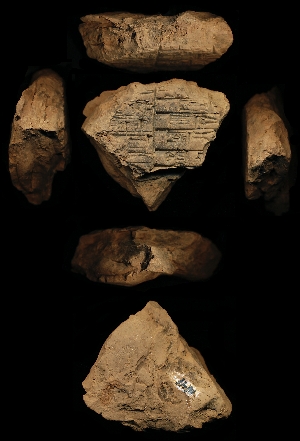 N41