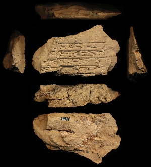 N51