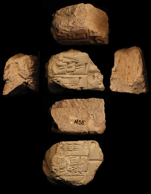 N55