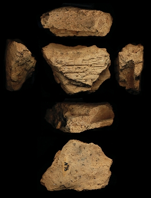 N76