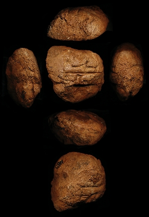 N85