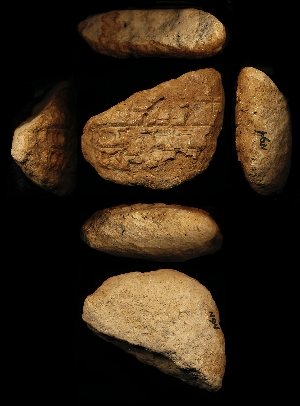 N94