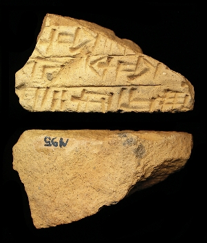 N95