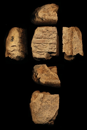 N98