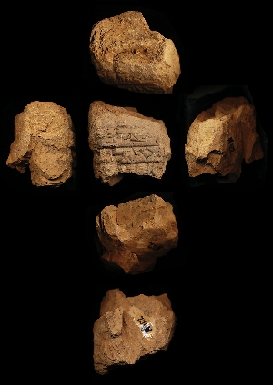 N112