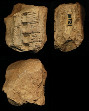 N121