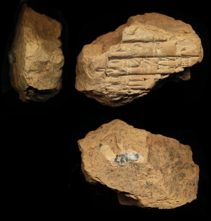 N127