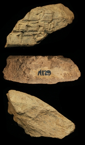 N129