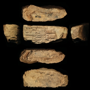 N131