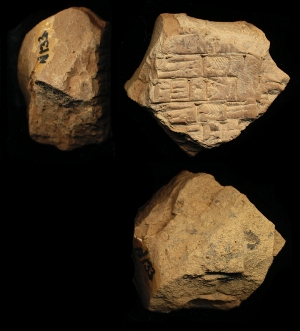 N133