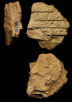 N135
