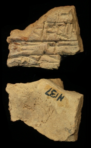 N137