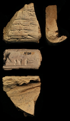 N139