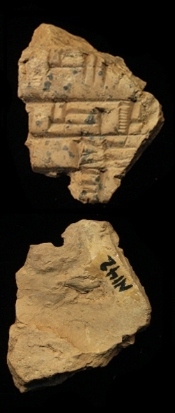 N142