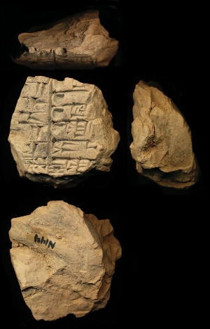 N144