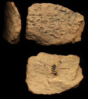 N146